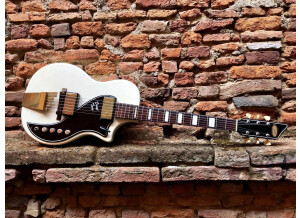 Supro Dual Tone (22199)