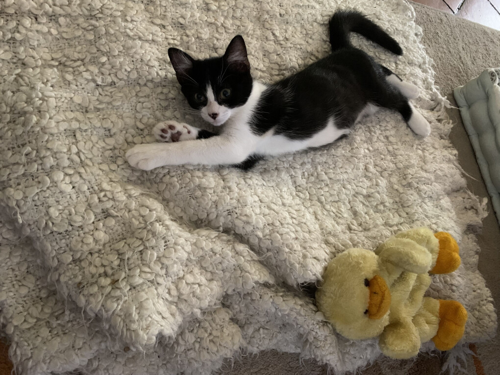 4774323.jpg 4774323.jpg