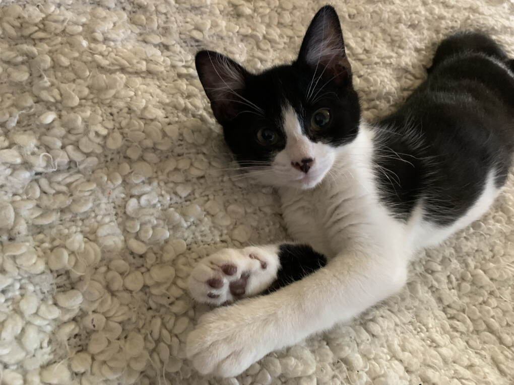 4774326.jpg 4774326.jpg