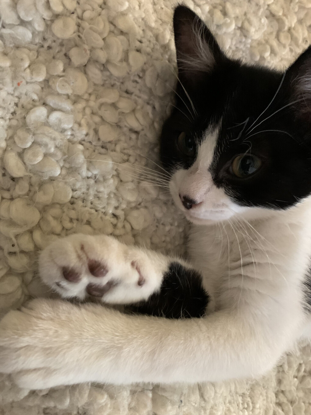 4774329.jpg 4774329.jpg