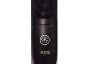 AKG P120