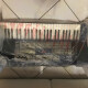 EG-101 EG-101