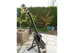 SR Guitars SRLP Luxe Ebony