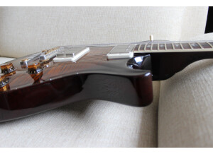 PRS Signature Limited Run