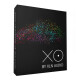 XO XO