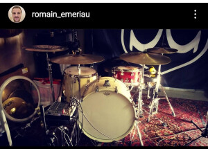 Yamaha Absolute Hybrid Maple (77210)