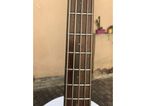 Fender Victor Bailey Acoustic Bass