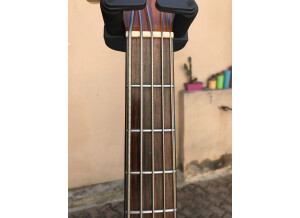 Fender Victor Bailey Acoustic Bass