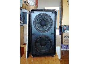 Ampeg Micro-CL Stack (72607)