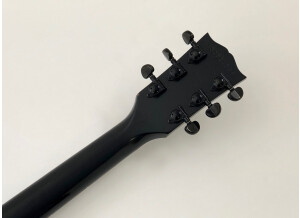Gibson N-225 (25058)