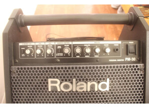 Roland PM-30 (6795)