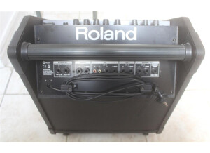 Roland PM-30 (10819)