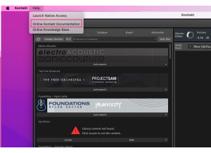 Native Instruments Kontakt 6 (13317)