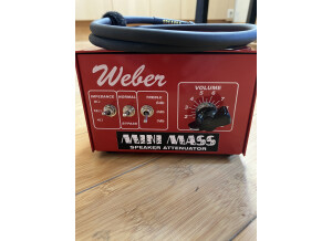 Weber Mini Mass 25W