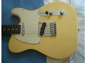 Fender [Custom Shop - Time Machine Series] '67 Telecaster Relic - Aged Vintage White