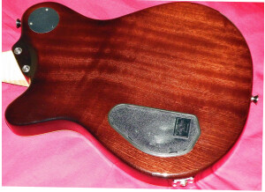 Framus Panthera Custom (28045)