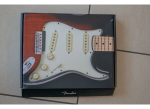 Squier Bullet Strat with Tremolo (45644)