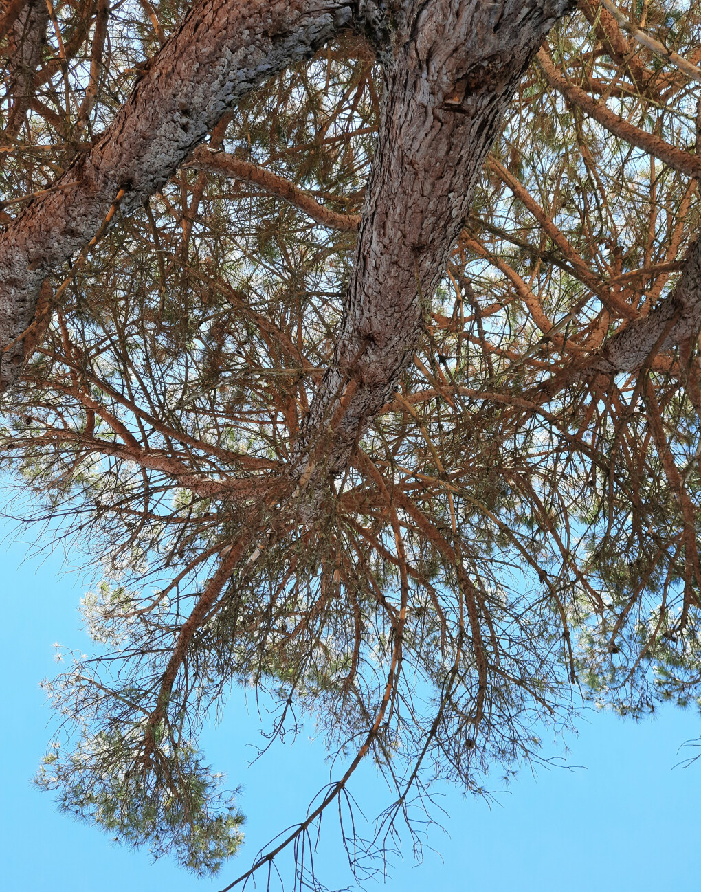 4792152.jpg 4792152.jpg