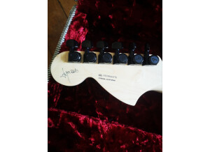 Fender Jim Root Jazzmaster (25944)