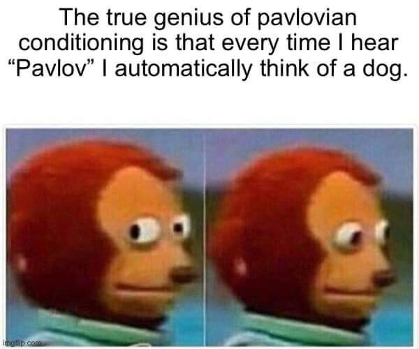 4794822.jpg 4794822.jpg
