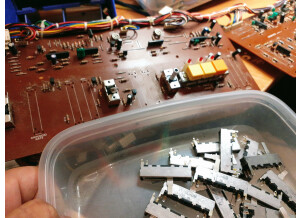 Roland JUNO-6 (75286)