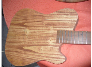 TELE chambered body023.JPG
