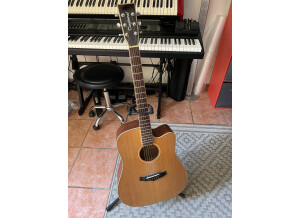 Tanglewood TW28 CSN CE (88636)