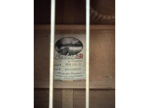 Tanglewood TW28 CSN CE (87051)