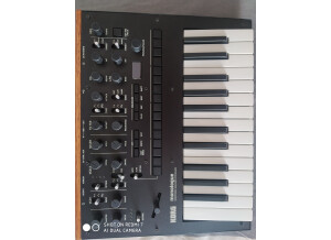 Korg Monologue (73156)