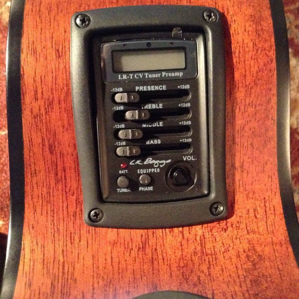 Breedlove Solo BJ350/CMe4 Fretless Bass