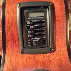 Breedlove Solo BJ350/CMe4 Fretless Bass