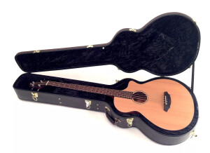 Breedlove Solo BJ350/CMe4 Fretless Bass (96988)