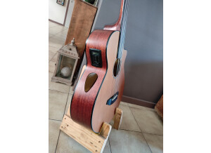 Breedlove Solo BJ350/CMe4 Fretless Bass (41572)