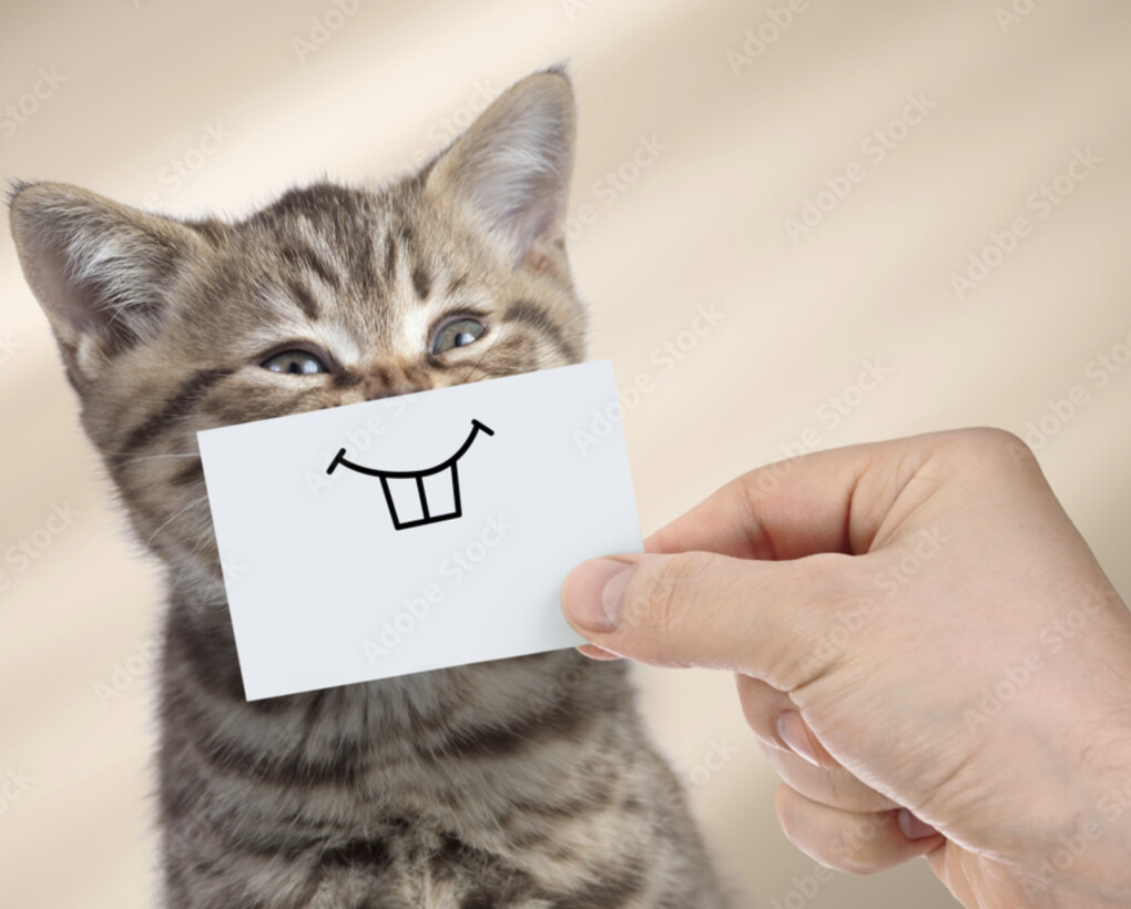 4804284.png 4804284.png