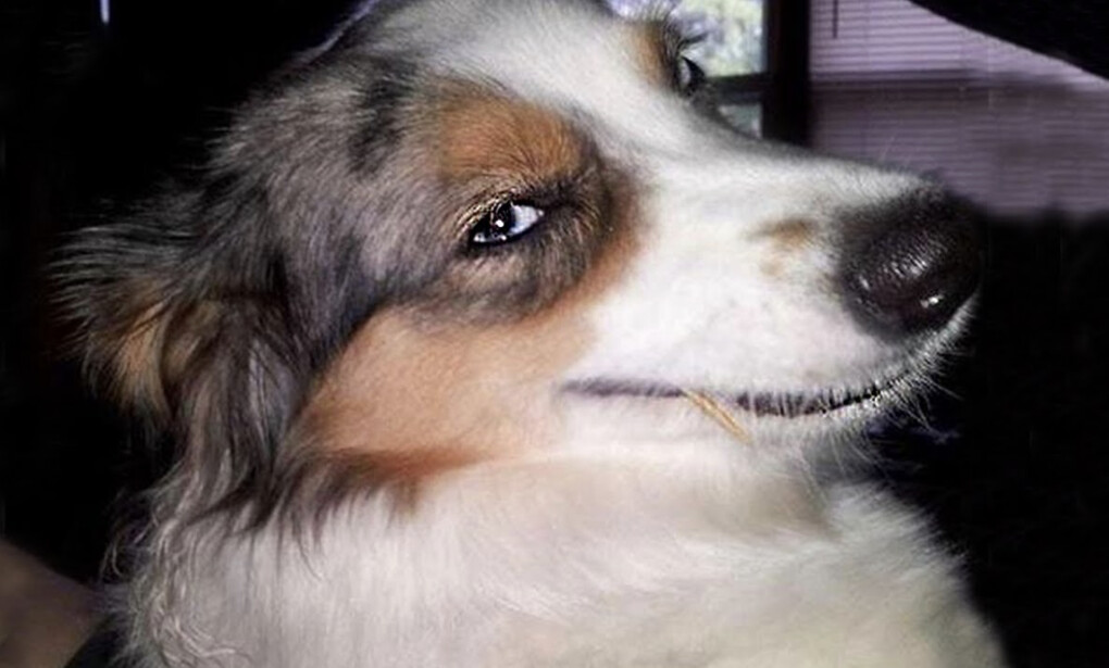 4804287.png 4804287.png