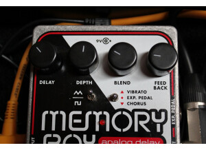 Electro-Harmonix Memory Boy (48477)