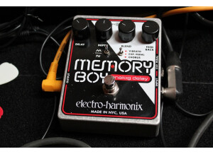 Electro-Harmonix Memory Boy (2381)