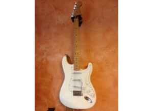 Fender [Deluxe Series] Roadhouse Stratocaster - Artic White