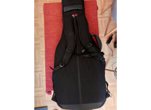 gig-bag-thomann-3843193