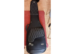 gig-bag-thomann-3843200