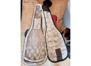 gig-bag-thomann-3843190