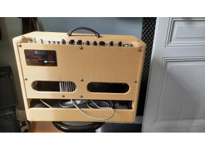 Fender Blues Deluxe Reissue (75478)