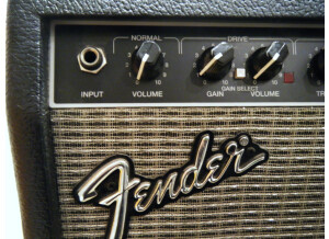 Fender Champion 110 (71318)