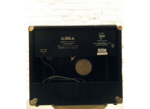 Fender Champion 110 (74258)