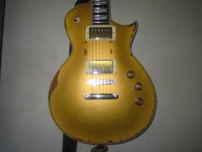 LTD EC-256 (2009-2012)