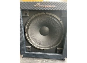 Ampeg B-100R (71447)