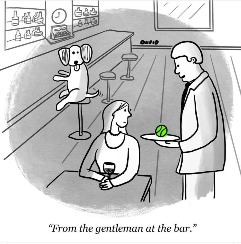 4813044.jpeg 4813044.jpeg