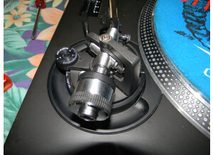 DSCN8008.JPG