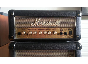 Marshall MG15MSZW - Zakk Wylde