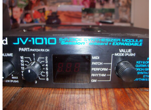 Roland JV-1010 (2580)